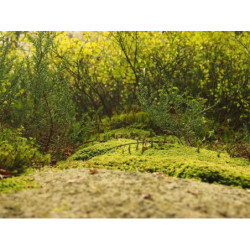 Rustic Wooden Lamp fr-FR